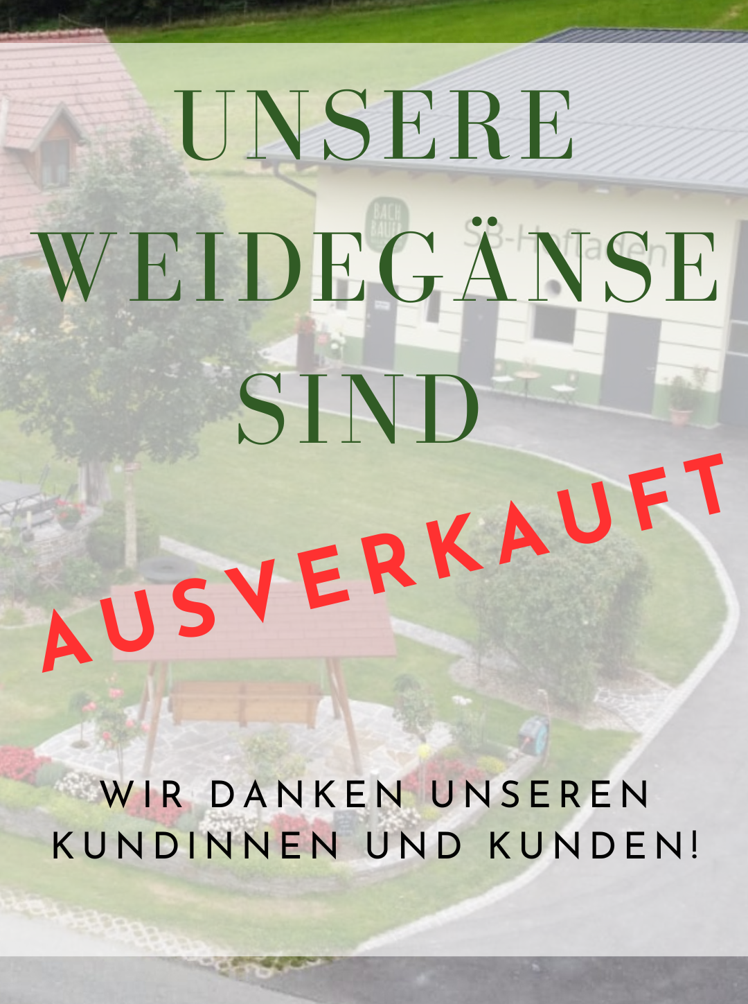 Weidegänse ausverkauft